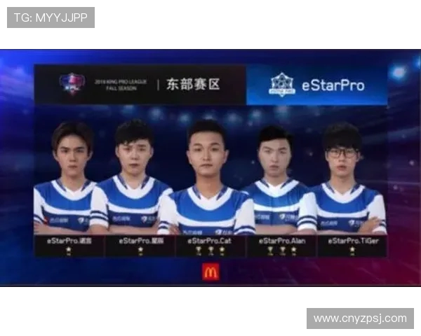 WE战队的荣耀之路与奋斗精神全景回顾