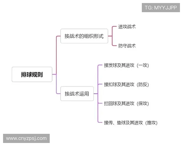 南京排球队的整体压制打法深度分析与战术解读 南京排球队的整体压制打法深度分析与战术解读
