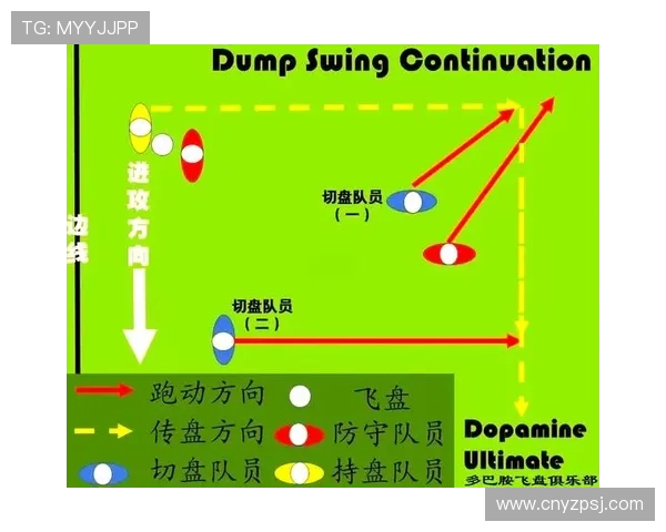 赛后分析:北京飞盘队与杭州飞盘队的实力对决与战术解析