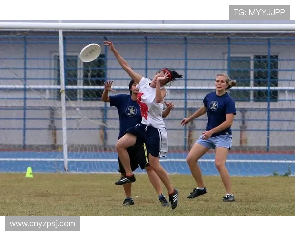 飞盘深度解析：上海飞盘队如何实现战术转换与团队协作